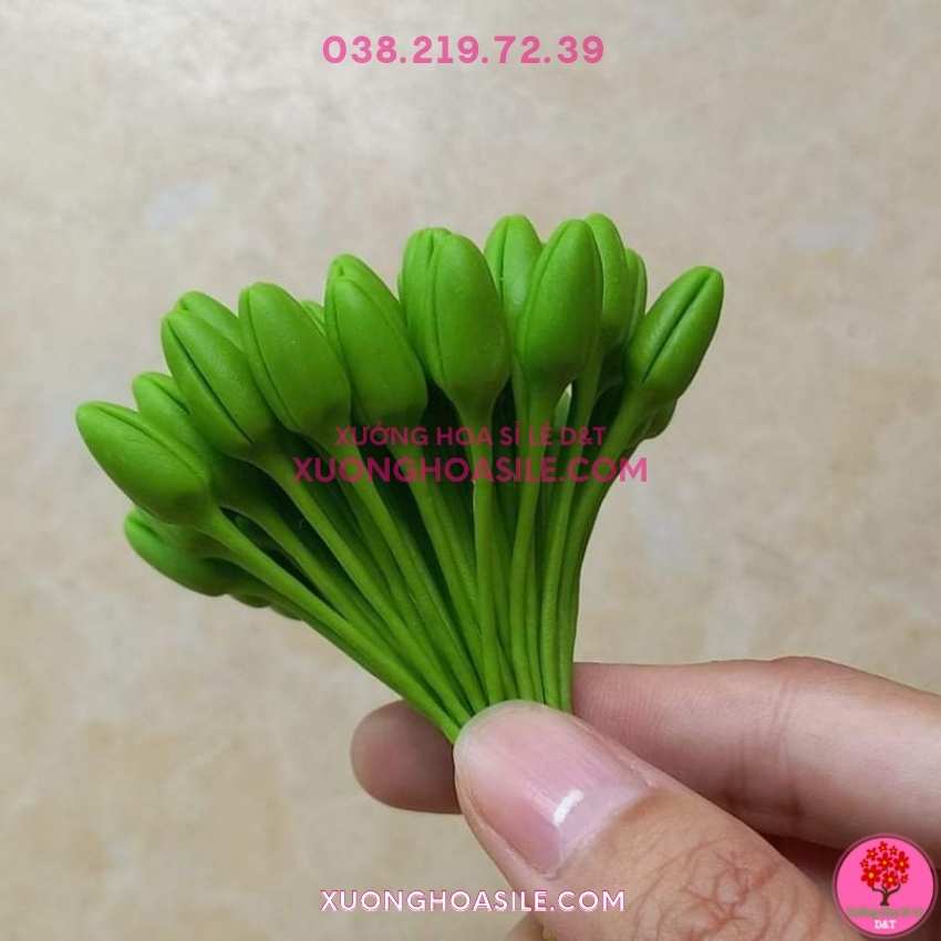 [HCM]NỤ MAI GIẢ, NỤ MAI ĐẤT SÉT