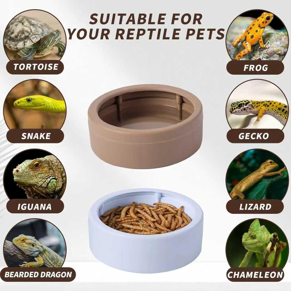 Portable Escape-Proof Reptile Food Dish Compact Non-Tip Mealworm Feeder ...
