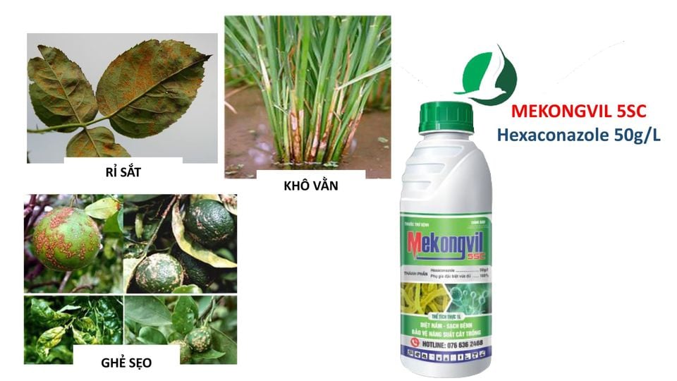 MEKONG VIL 5SC CHAI 1 LÍT