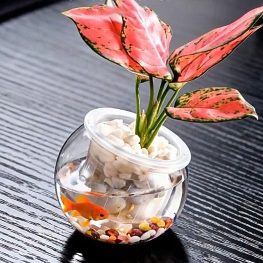 Durable%20Transparent%20Hydroponic%20Vase%20Mini%20Decorative%20Flower%20Pot%20Plastic%20Container%20Flower%20Arrangements%20-%20Image%203