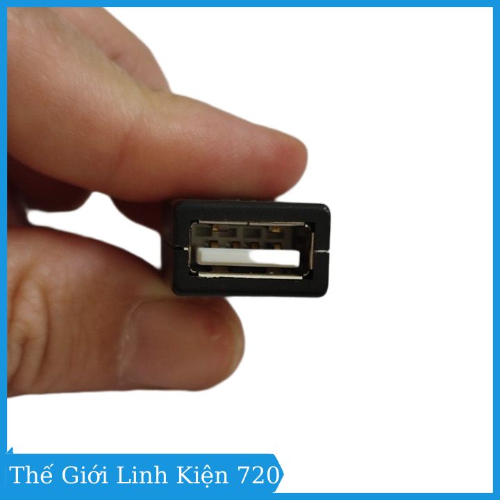 Đầu Jack cổng USB A cái 4P kèm vỏ