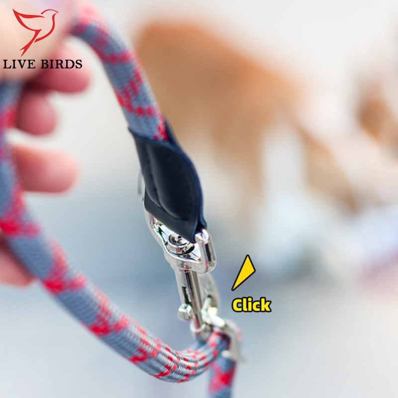 Multifunctional Nylon Double Leash For Dogs Reflective Strip Design Dog Training Leash For Medium Large Dogs