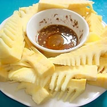 cây giống măng bát độ