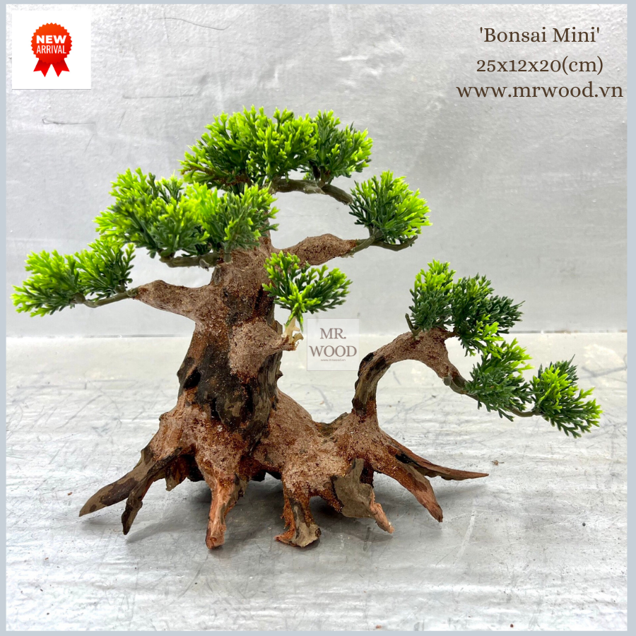 Lũa Bonsai Hai Thân Cho Hồ Thủy Sinh- Xưởng Lũa Mr Wood