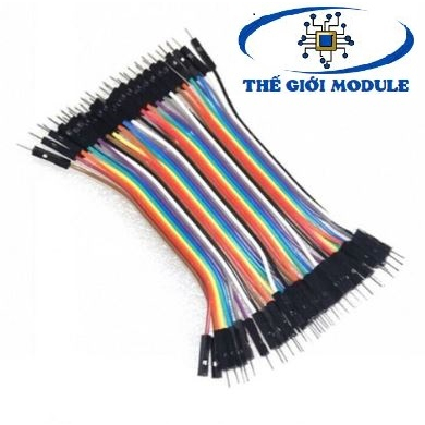 Dây bus, dây bẹ đực - đực 10cm - thegioimodule