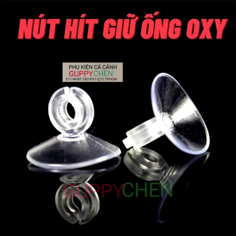 Hít giữ ống CO2 và dây oxi cho hồ cá thủy sinh