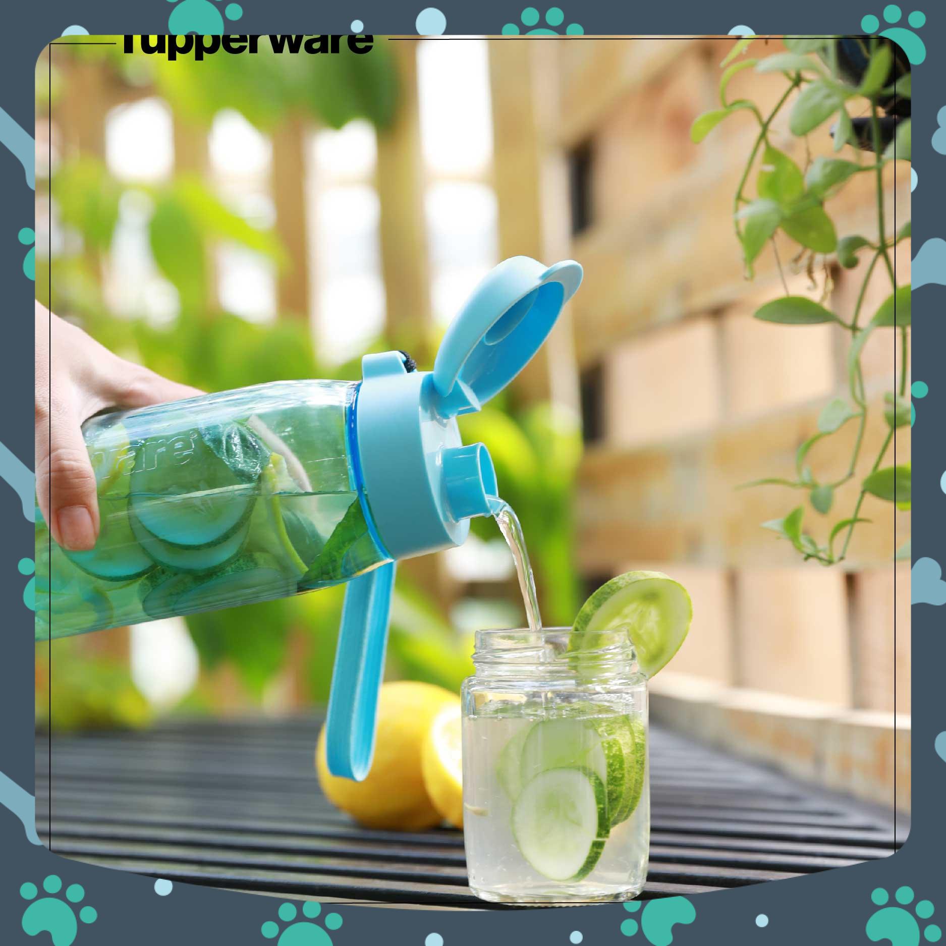 Bình nước Tupperware Lohas Flask 750ml