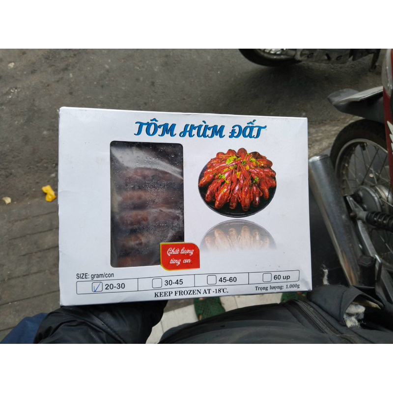 Tôm hùm đất hộp 1kg size 20-30 con (giao 2h hcm)