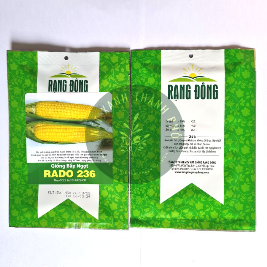 Hạt giống bắp ngọt bắp mỹ 5gr