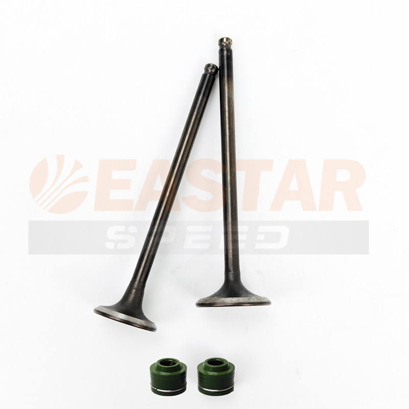 Bộ van Van Dù + Con dấu van cho RAIDER150