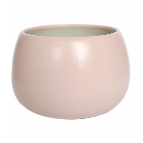chậu sứ mini hình hạt dẻ