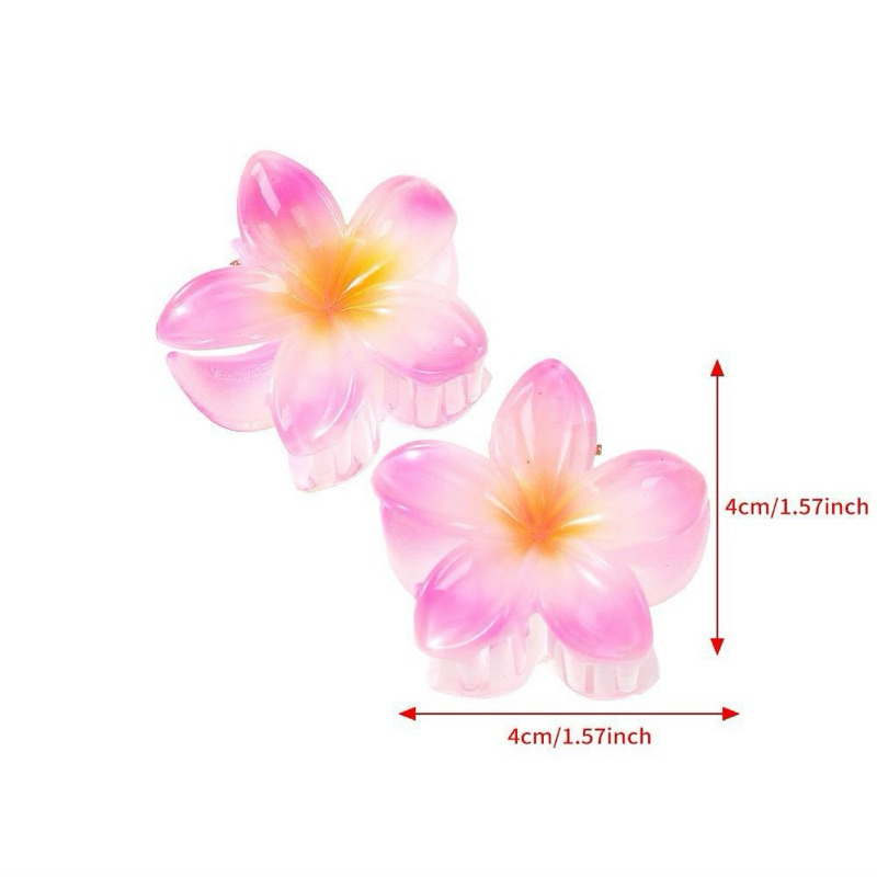 Kẹp Tóc, Gấp Tóc Hoa Sứ Hàn Quốc Hot Trend 4cm