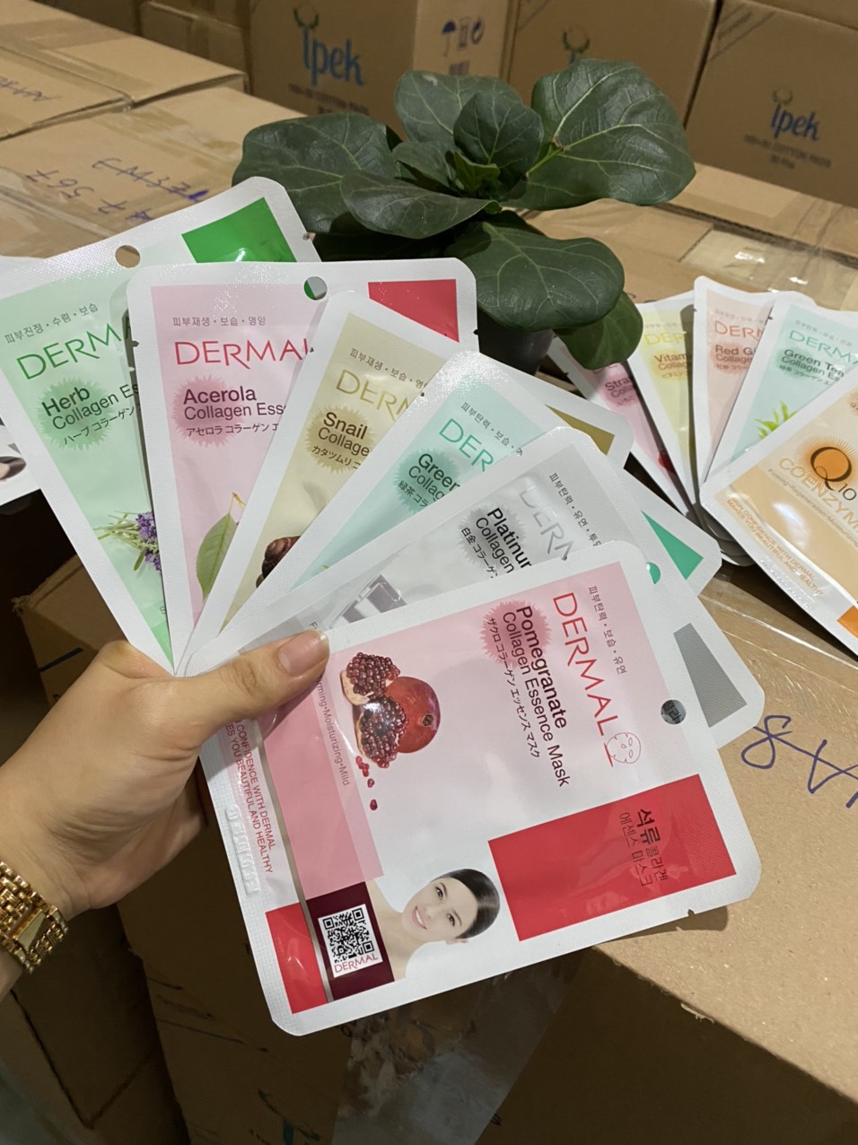combo10 Mặt nạ Dermal Hàn quốc dưỡng da tinh chất  23g (ngẫu nhiên)