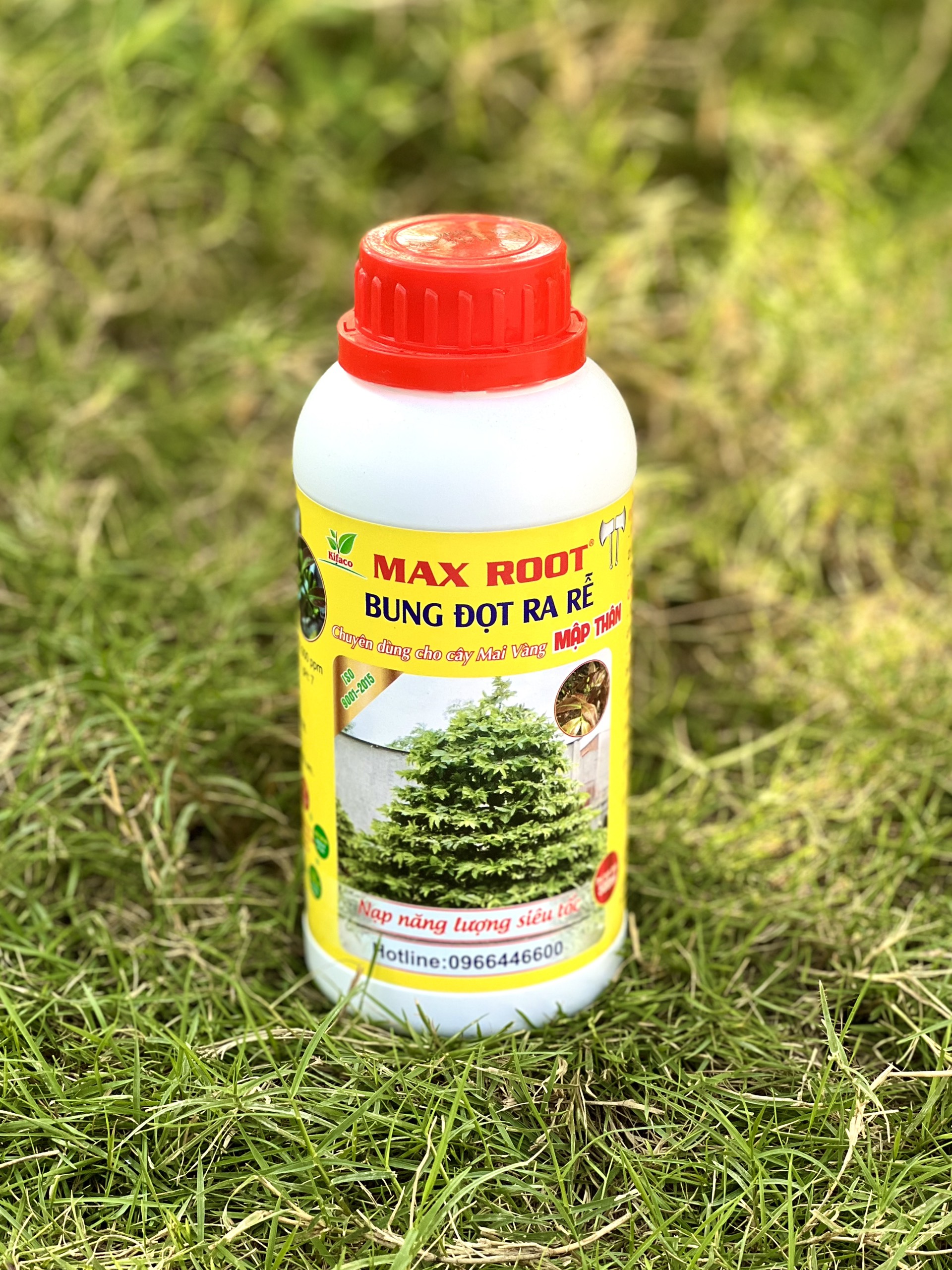 PHÂN BÓN MAXROOT BUNG ĐỌT RA RỄ CHUYÊN MAI VÀNG CHAI 500ML