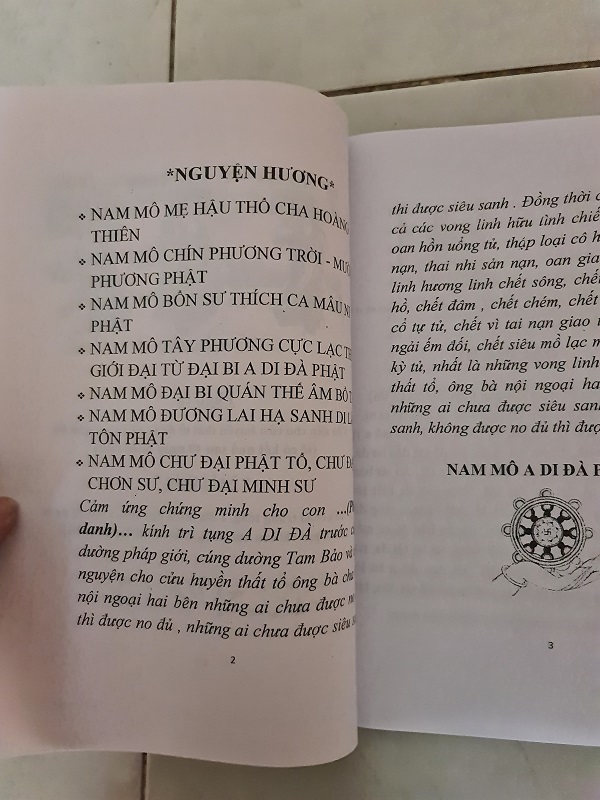 Kinh A DI ĐÀ - Thích Trung Đạo biên soạn