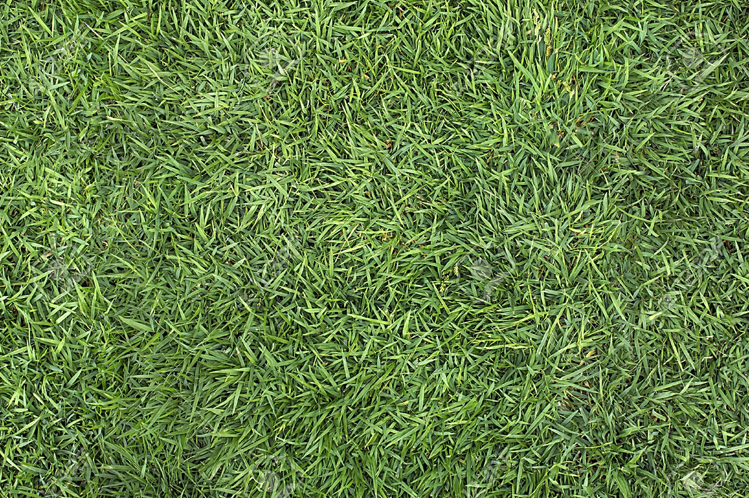 GRASS PAVE 1 480 grass-pave-1-480