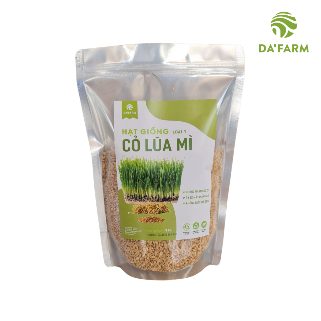 Hạt giống cỏ lúa mì hữu cơ loại 1 Da'farm