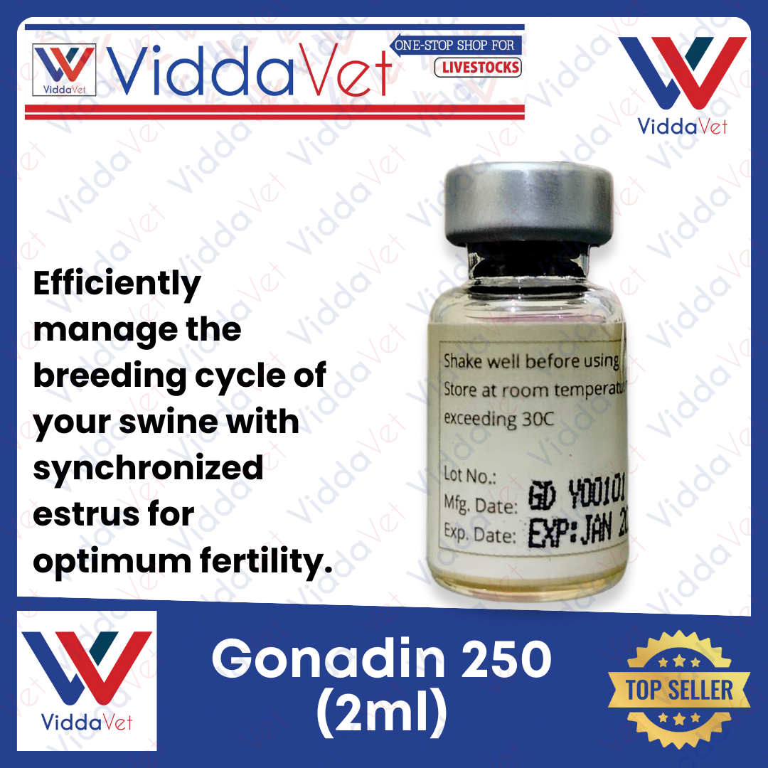 IVDR-S 250G M-VDRS250G.A JAN11 Amazon.co.jp: マクセル iVDR-S規格