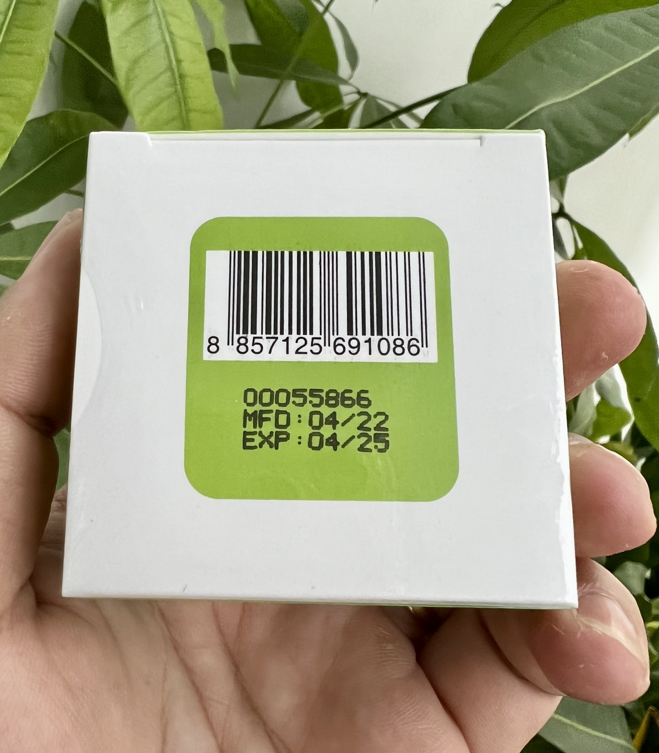 Kem đánh răng thảo dược By Phoca 25g/ Thái Lan