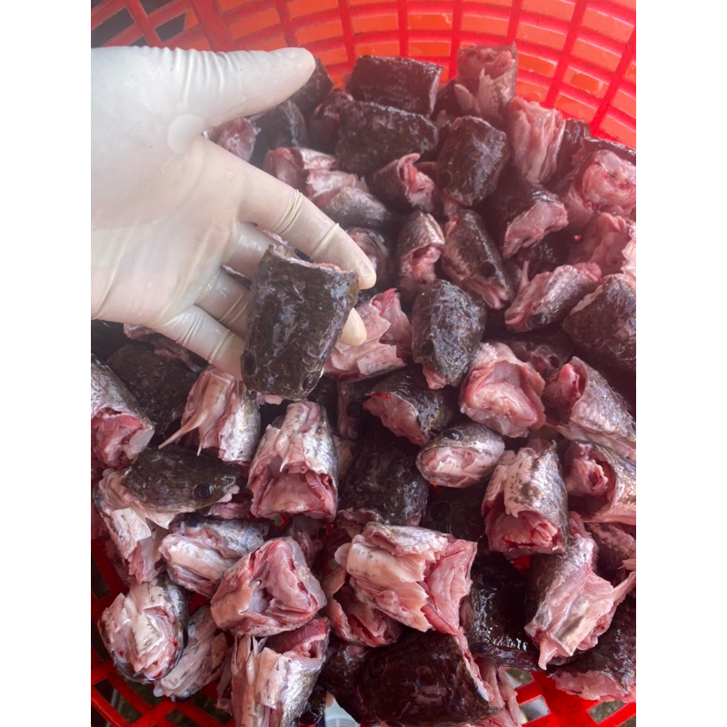 Đầu cá lóc đồng bịch 1kg (giao tphcm)