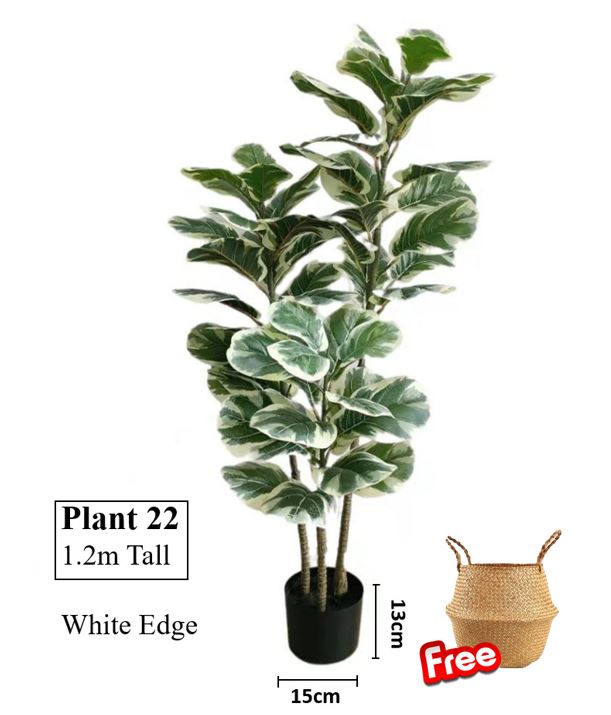 [SG SELLER] Artificial Plant Fiddle Leaf Fake Fig Tree Faux Potted
