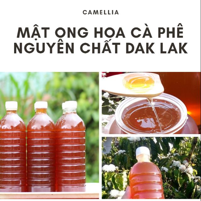 MẬT ONG RỪNG ĐẮK LAK nguyên chất 1 LÍT