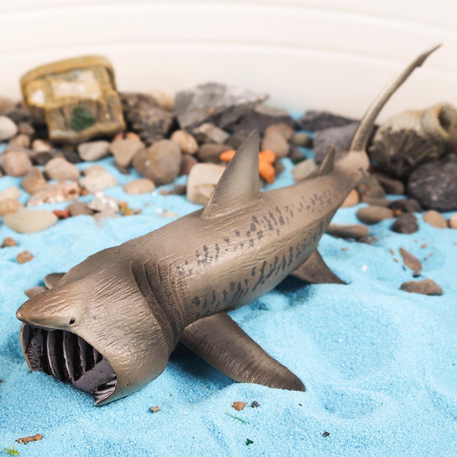 Gispark Realistic Basking Sharks Model Cognitive Early Learning Marine Creatures Figures Collection for Decorations Home Learning Party