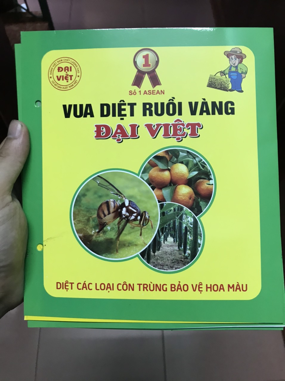 Combo 10 miếng dán bẫy ruồi vàng, bướm, phấn trắng, côn trùng siêu dính