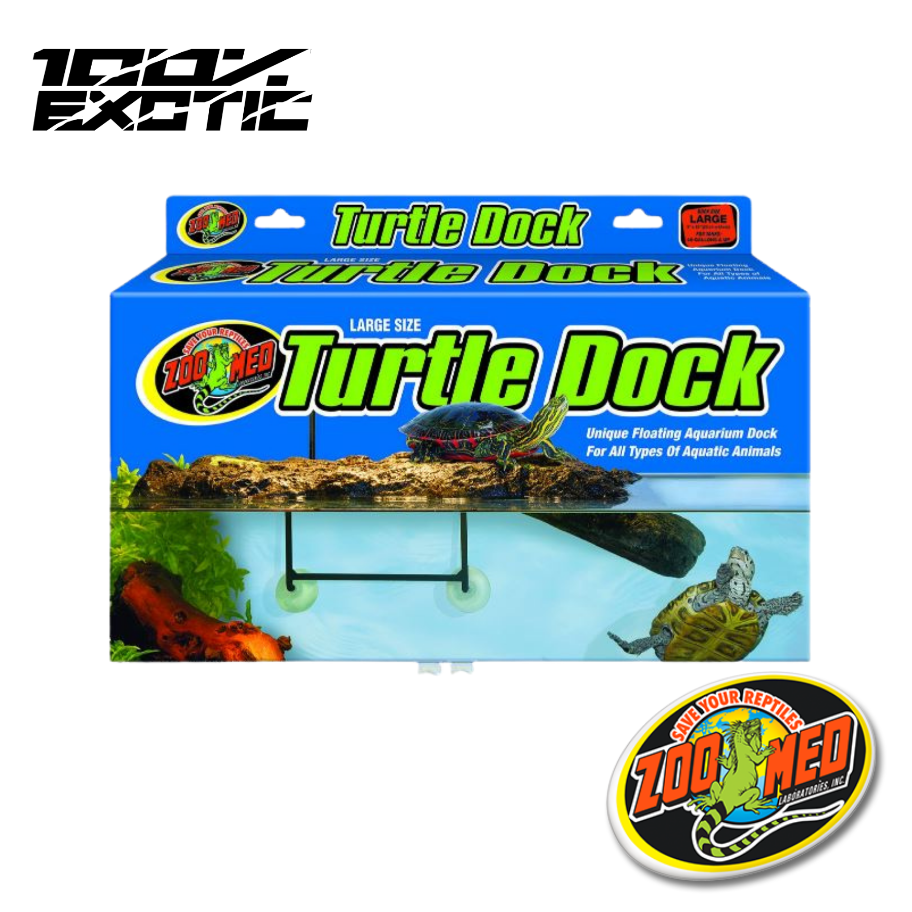 turtle start up kit
