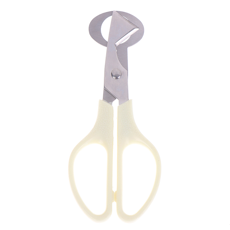 HE🔥 Quail Bird Egg Scissors Stainless Steel Eggshell Cutters Kitchen Hand Tools