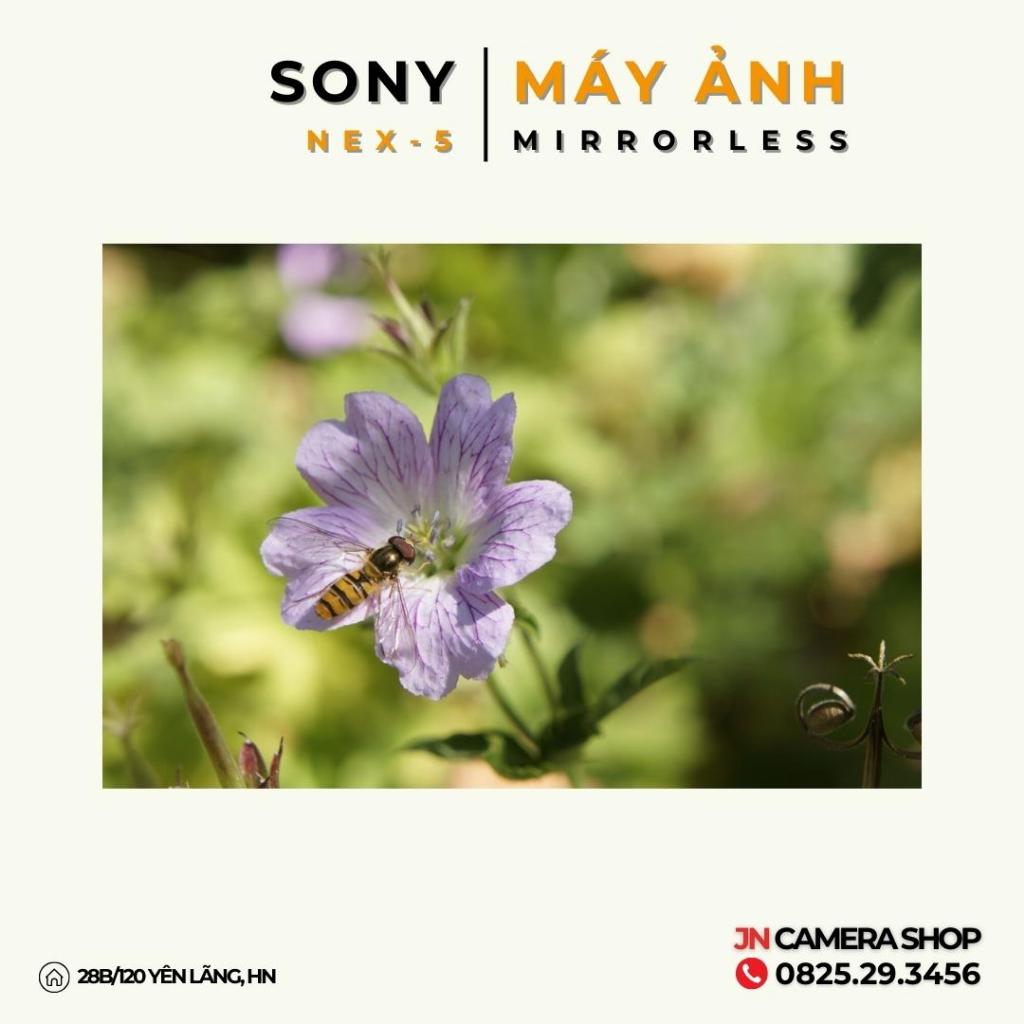 Sony Nex-5 + Ống kính 16-50mm