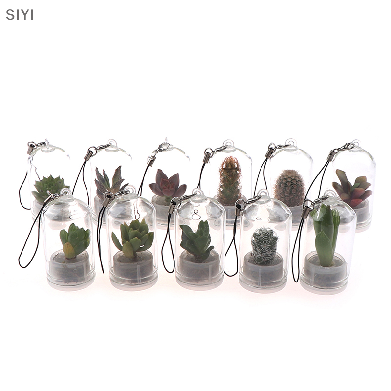 SIYI💕Gift💕Cheap💕 Vòng cổ dễ thương hình xương rồng thu nhỏ xương rồng hồ cạn có thể đeo được cây sống