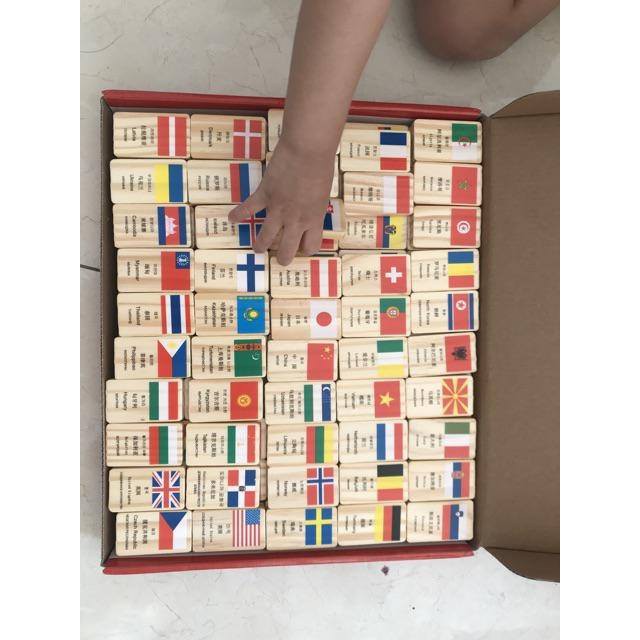 Đồ chơi gỗ Domino 12 màu 120 miếng
