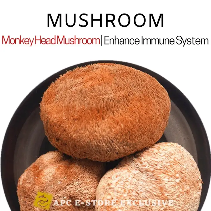Monkey Head Mushroom 200g Lazada Singapore