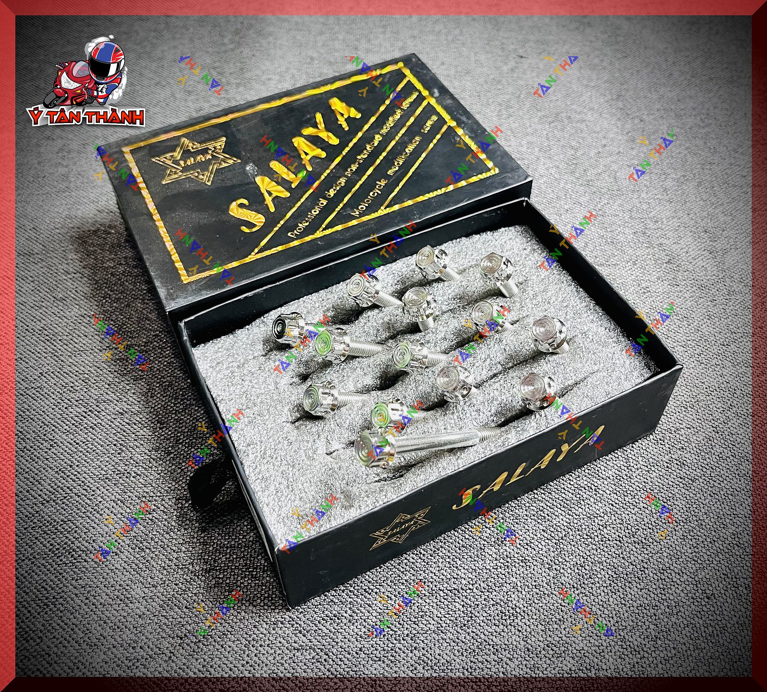 Bộ Ốc Lốc Máy Salaya V2 cho vision 2016-2019 MS82