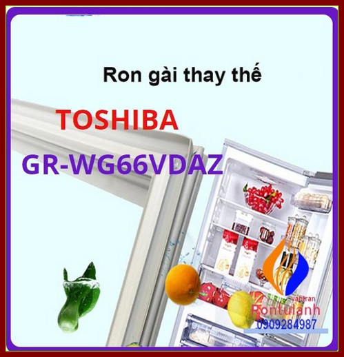 Ron tủ lạnh Toshiba Model GR-R16VPD