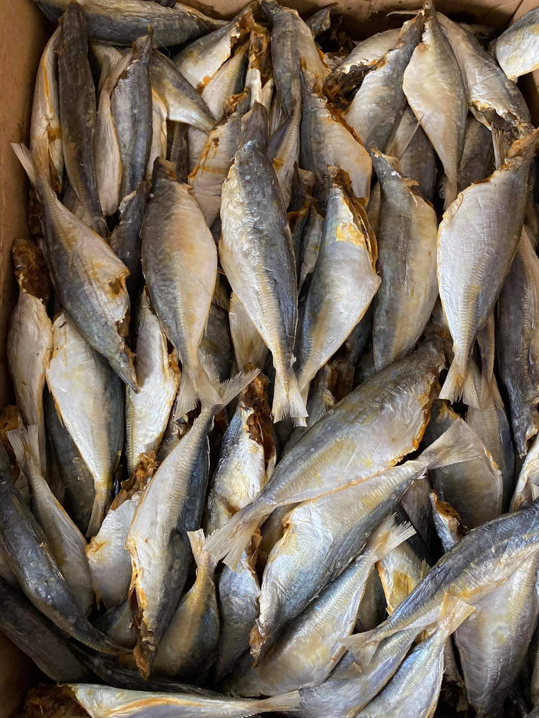 1KG CÁ NỤC KHÔ Vị hơi mặn