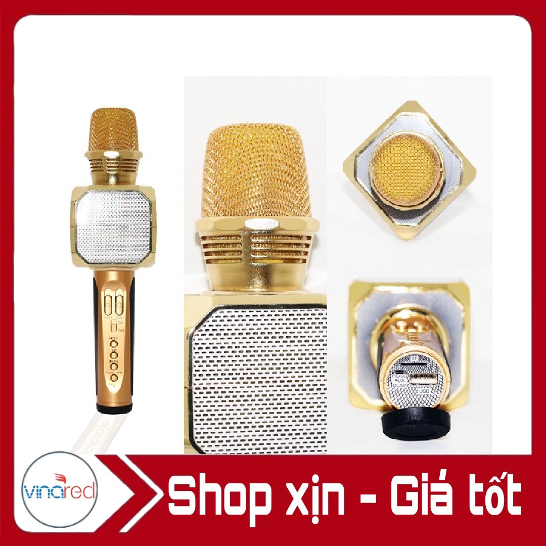 Mic Karaoke SD10 Kèm Loa Kết Nối Bluetooth Hàng Chuẩn