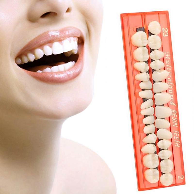 💖【New Production】 28Pcs/Set Resin Teeth Teaching Model Universal False Teeth Dental Material Teeth