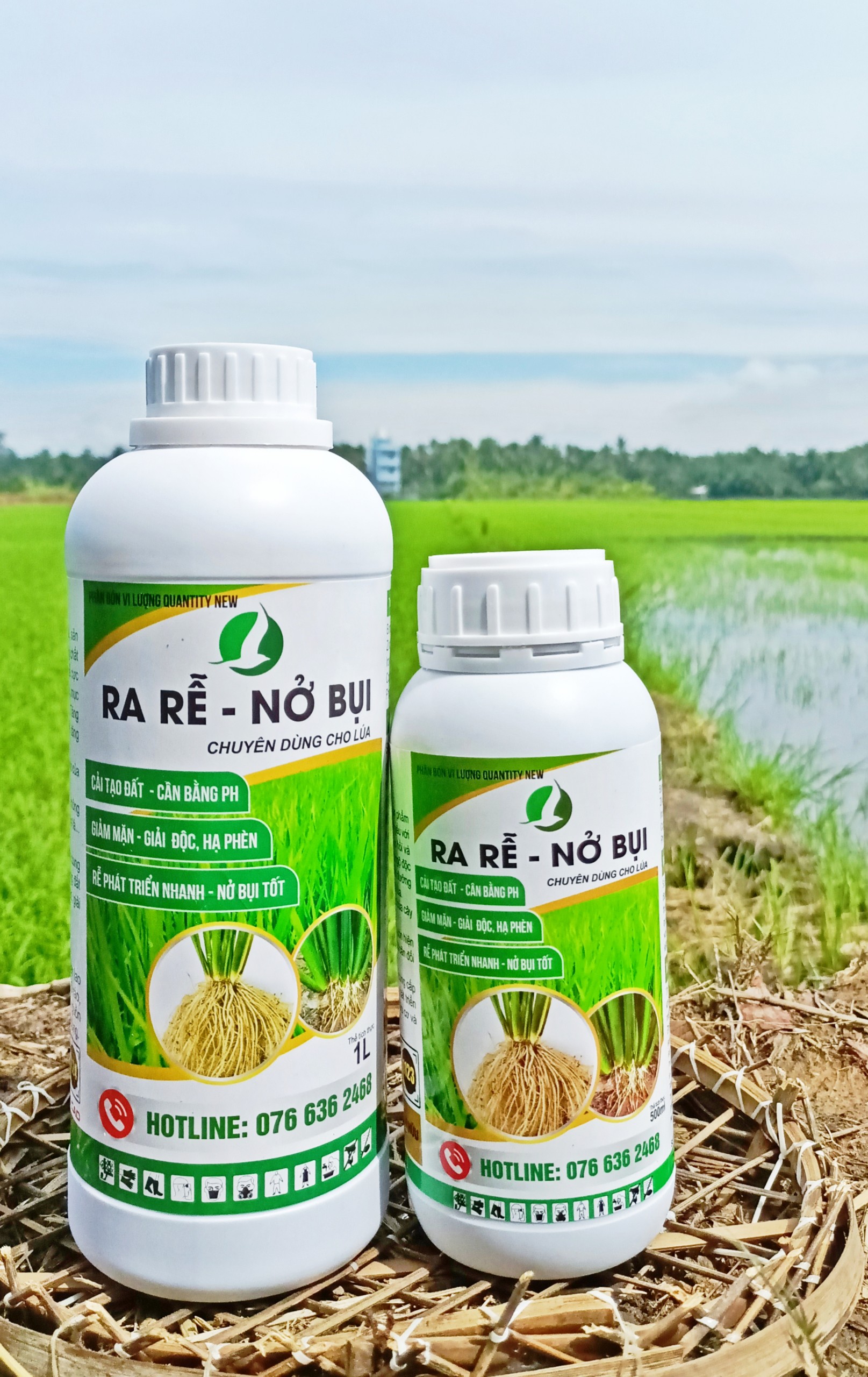 RA RỄ NỞ BỤI, ĐẺ NHÁNH CHUYÊN DÙNG CHO LÚA - CHAI 500ML VÀ 1LÍT