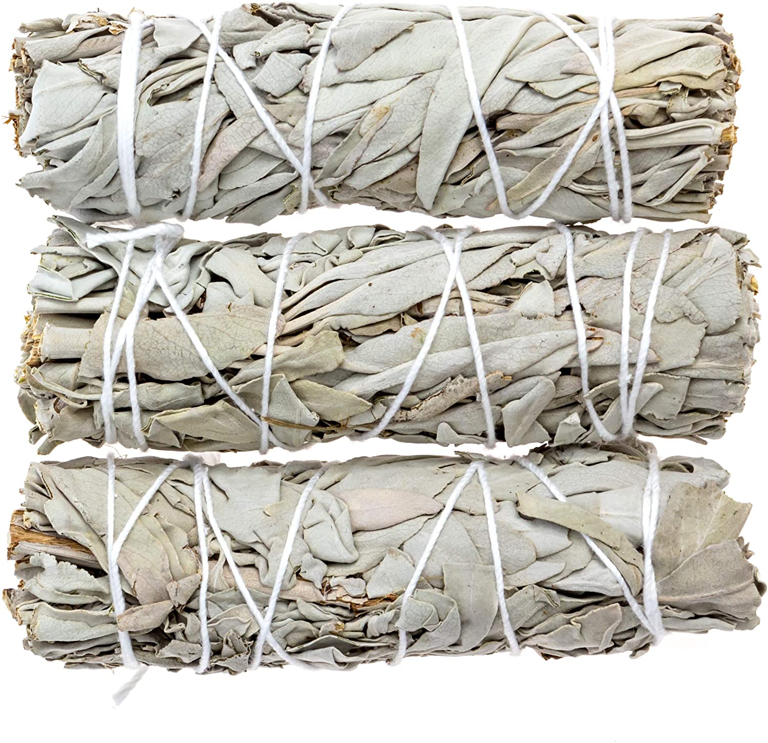 [White Sage] Xô Thơm Trắng giúp thanh tẩy nhà cửa