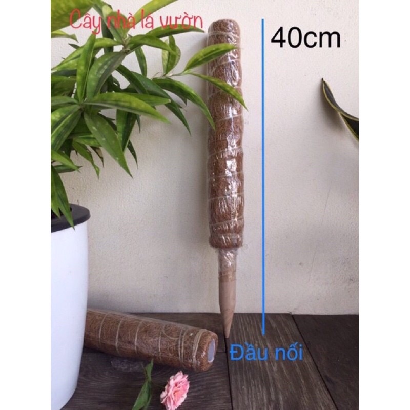 Trụ cột xơ dừa cho cây leo bám cột 30/40/50cm ga625