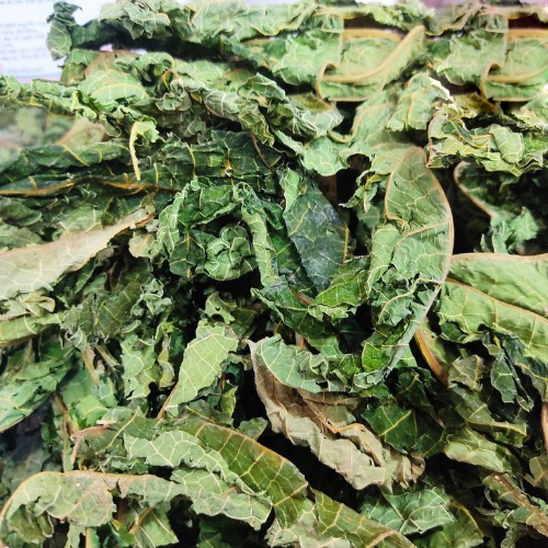 [Hàng mới về] Lá đu đủ sấy khô 1kg - Tấn Phát - chuyên dùng để pha trà thanh nhiệt và giải độc