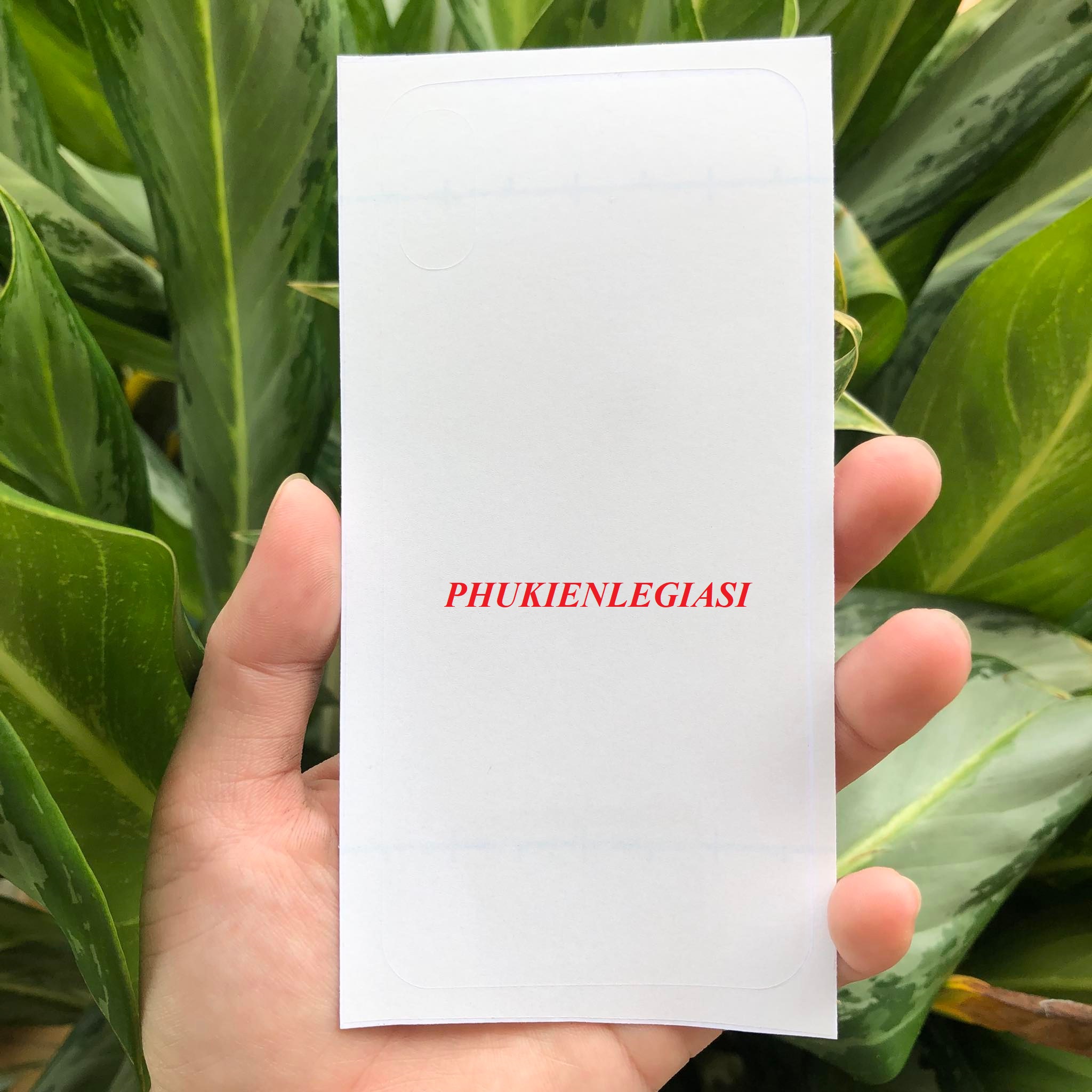 XÃ HÀNG THANH LÝ Miếng dán carbon, dán nhám sau iphone(các dòng)
