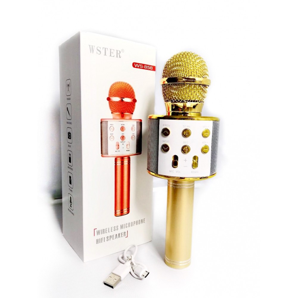 (SỈ) Mic Hát Karaoke Kèm Loa Bluetooth WS-858 Đa Năng
