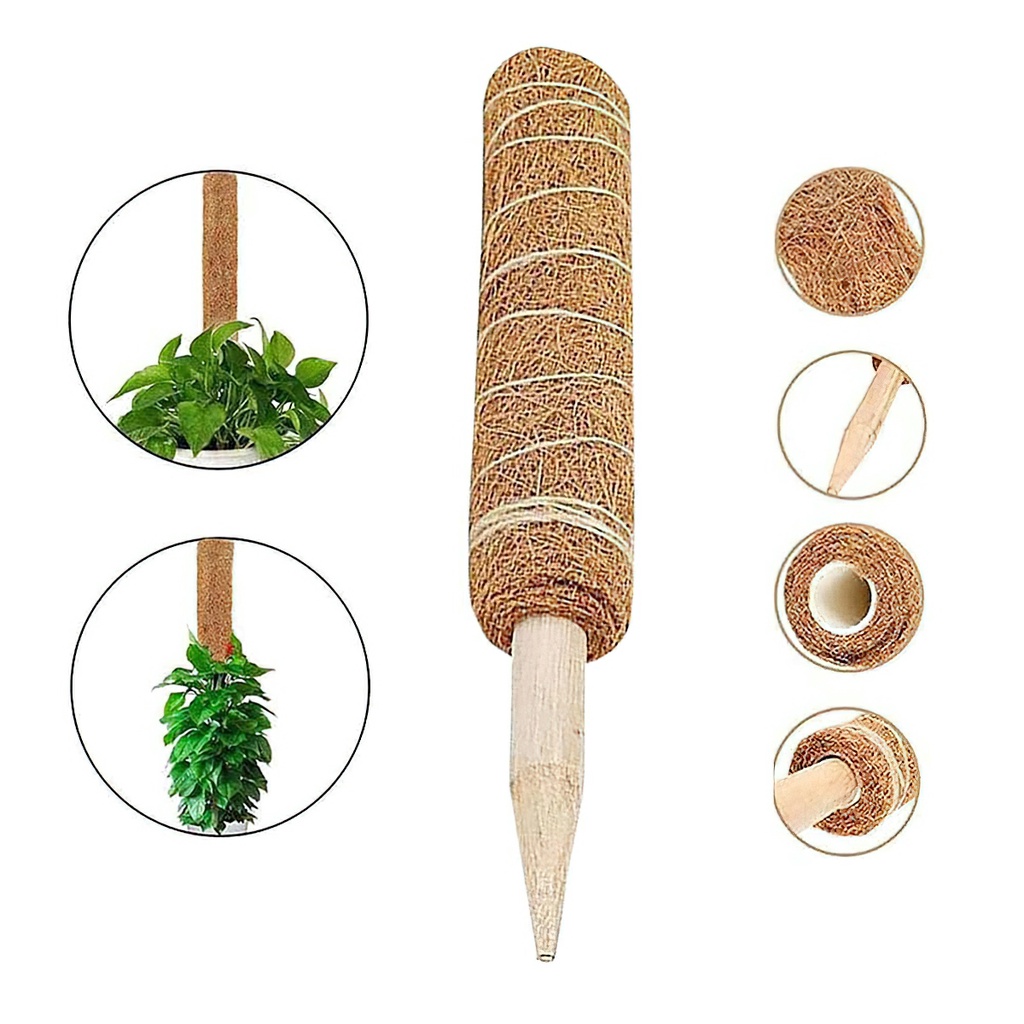 Trụ cột xơ dừa cho cây leo bám cột 30/40/50cm