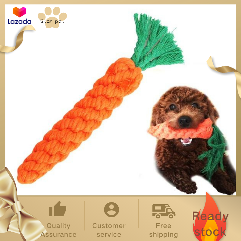 carrot dog chew toy