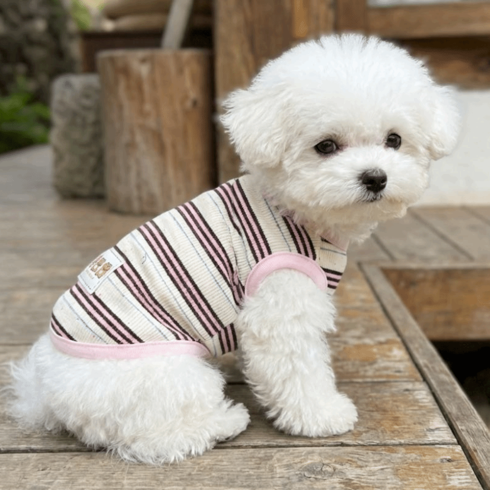 Bear%20Pattern%20Round%20Neck%20Dog%20Cooling%20Vest%20Comfortable%20Thin%20Soft%20Pet%20Pullover%20Cool%20Sun%20Protection%20Summer%20Dog%20Clothes%20Puppies%20Cat%20-%20Image%206