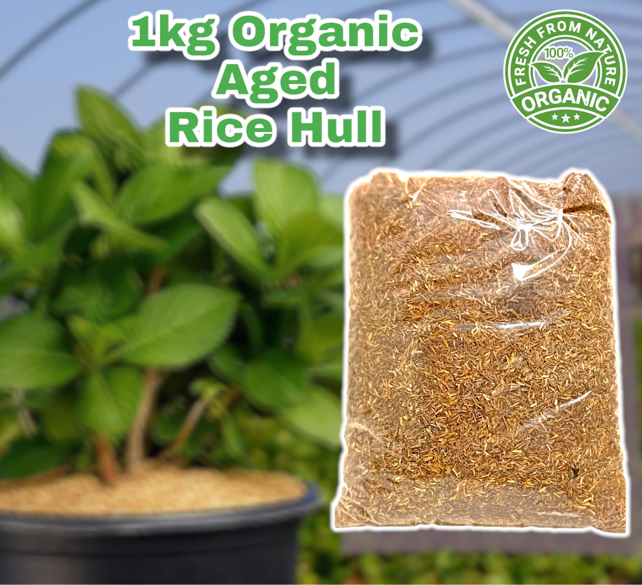 1 KILOGRAM PURE AND ORGANIC AGED RICE HULL COMPOSTED GOOD FOR PLANTS 