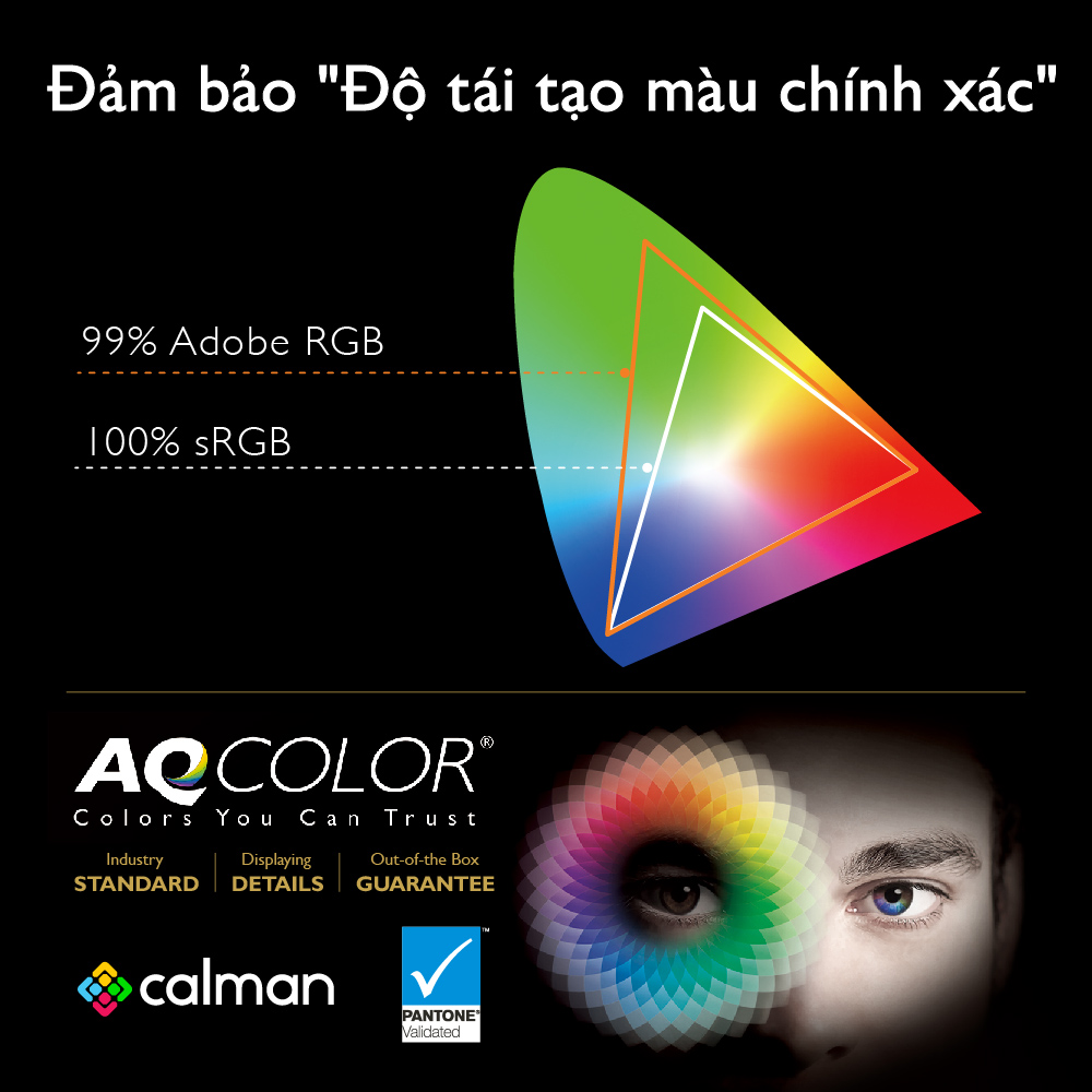 Màn hình chỉnh sửa ảnh BenQ SW240 24 inch 99% Adobe RGB chuyên Đồ họa, Xử lý ảnh dành cho...
